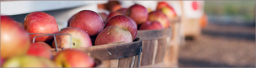 apple health benefits