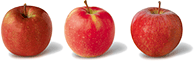 Apple Varieties